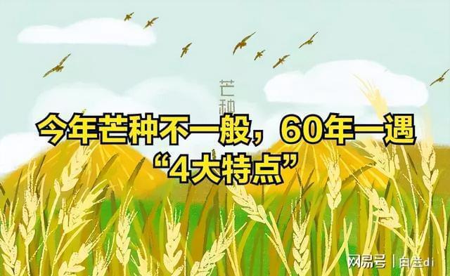 年一遇！4大特点提前知老农急呼早防备尊龙凯时app平台2025芒种60(图4)