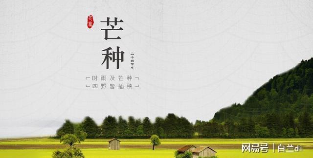 年一遇！4大特点提前知老农急呼早防备尊龙凯时app平台2025芒种60(图6)